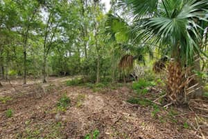 HOLY COW RD, POLK CITY, FL 33868 - MLS#MFRP4936386
