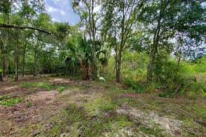 HOLY COW RD, POLK CITY, FL 33868 - MLS#MFRP4936386