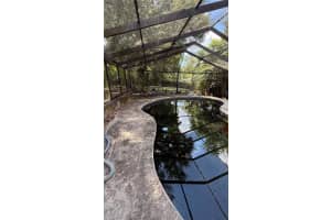501 HILLPINE WAY, BRANDON, FL 33510 - MLS#MFRP4936417