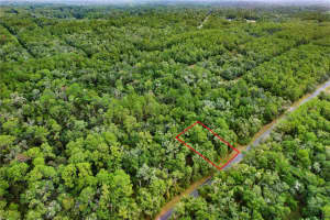 205 KINGSDALE STREET, DUNNELLON, FL 34434 Sold 11/25/25