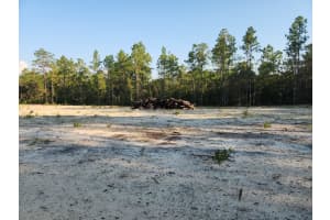 135TH AVENUE, OCALA, FL 34481 - MLS#MFRP4936642