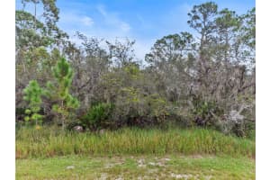 545 WASHINGTON PLACE, LAKE PLACID, FL 33852 - MLS#MFRP4936666