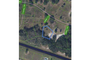 1009 ARNEY COURT, SEBRING, FL 33876 - MLS#MFRP4936822