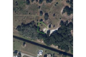 1009 ARNEY COURT, SEBRING, FL 33876 - MLS#MFRP4936822