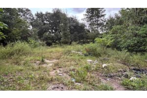 8185 JASMINE AVENUE, MELROSE, FL 32666 Sold 12/04/25