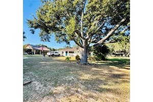 205 JACK PINE STREET, LAKE WALES, FL 33859 - MLS#MFRP4936902