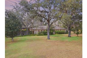 3137 DIANA DRIVE, ZEPHYRHILLS, FL 33541 - MLS#MFRP4937075