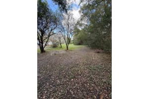 25327 NE STATE ROAD 26, MELROSE, FL 32666 - MLS#MFRP4937227