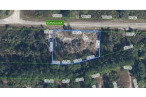 3348 DORADO AVENUE, LAKE PLACID, FL 33852 - MLS#MFRP4937293