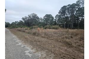 3348 DORADO AVENUE, LAKE PLACID, FL 33852 - MLS#MFRP4937293