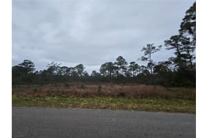 3129 LOCUST AVENUE, LAKE PLACID, FL 33852 - MLS#MFRP4937300