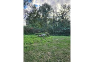 2220 ELLIE ROAD, AUBURNDALE, FL 33823 - MLS#MFRP4937352