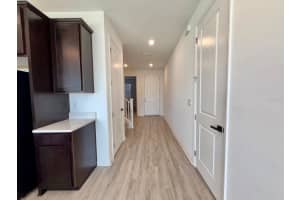 1209 MATTIE POINTE BOULEVARD, AUBURNDALE, FL 33823 - MLS#MFRP4937496