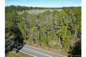 GREEN POND RD, POLK CITY, FL 33868 - MLS#MFRP4937549