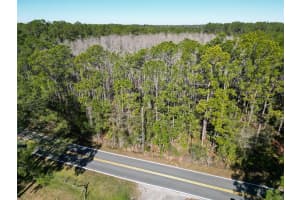 GREEN POND RD, POLK CITY, FL 33868 - MLS#MFRP4937549