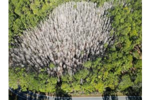 GREEN POND RD, POLK CITY, FL 33868 - MLS#MFRP4937549