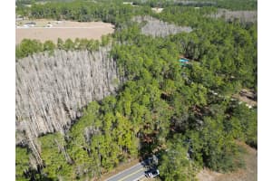 GREEN POND RD, POLK CITY, FL 33868 - MLS#MFRP4937549