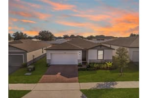 2409 WHITE TAIL STREET, DAVENPORT, FL 33837 - MLS#MFRP4937564