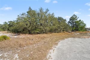 611 AMAZON COURT, POINCIANA, FL 34759 - MLS#MFRP4937730