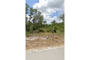 1224 PASSION FLOWER STREET, SEBRING, FL 33875 - MLS#MFRP4937756