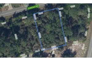 241 PHANTASY AVENUE, LAKE PLACID, FL 33852 - MLS#MFRP4937865