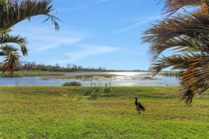 410 ORANGE BLOSSOM DRIVE, WINTER HAVEN, FL 33880 - MLS#MFRP4937953