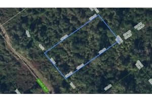 455 NICHELE BOULEVARD, LAKE PLACID, FL 33852 - MLS#MFRP4938009
