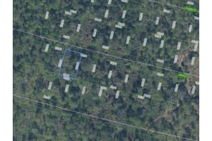 8705 PAVIA STREET, SEBRING, FL 33872 - MLS#MFRP4938240