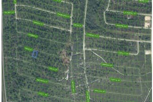 8705 PAVIA STREET, SEBRING, FL 33872 - MLS#MFRP4938240