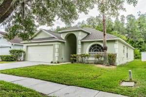 10458 Lucaya Dr, TAMPA