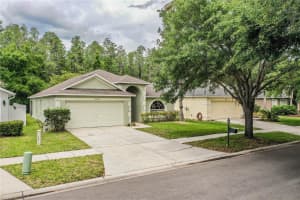 10458 LUCAYA DRIVE, TAMPA, FL 33647 - MLS#MFRP4938542