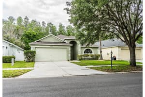 10458 LUCAYA DRIVE, TAMPA, FL 33647 - MLS#MFRP4938542