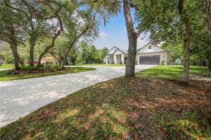 1 PINE FOREST DRIVE, HAINES CITY, FL 33844 - MLS#MFRP4938615