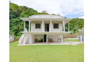 Carr 184 Km 6.2 Bo. Mulas Patillas, FL 00723 - MLS#MFRPR9113502