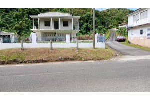 Carr 184 Km 6.2 Bo. Mulas Patillas, FL 00723 - MLS#MFRPR9113502
