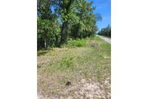 SE 130TH COURT, DUNNELLON, FL 34431 - MLS#MFRPR9113840