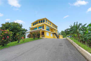 Bo. Hoyos Planes Carr. 531 Km  Hm7 Jayuya, FL 00664 - MLS#MFRPR9116886