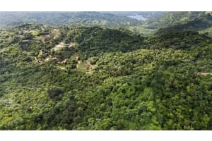 Bo. Hoyos Planes Carr. 531 Km  Hm7 Jayuya, FL 00664 - MLS#MFRPR9116886