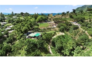 Bo. Hoyos Planes Carr. 531 Km  Hm7 Jayuya, FL 00664 - MLS#MFRPR9116886