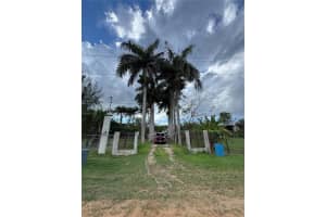 Bajuras Carr 446 #a Isabela, FL 00662 - MLS#MFRPR9119246