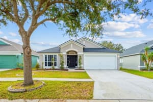 11519 Misty Isle Ln, RIVERVIEW