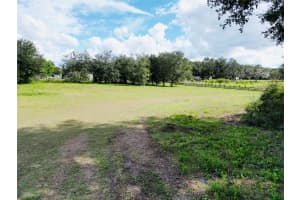 14735 77TH COURT, SUMMERFIELD, FL 34491 Sold 04/08/25