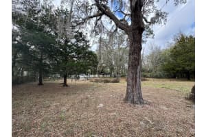 1450 118TH TERRACE, OCALA, FL 34482 Sold 06/06/25