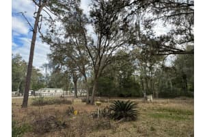 1450 118TH TERRACE, OCALA, FL 34482 Sold 06/06/25