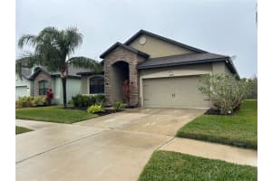 11854 THICKET WOOD DRIVE, RIVERVIEW, FL 33579 Sold 04/04/25