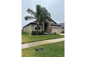 11854 THICKET WOOD DRIVE, RIVERVIEW, FL 33579 Sold 04/04/25