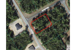 SW 176 LANE RD, OCALA, FL 34473 - MLS#MFRR4908806