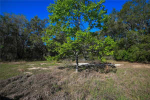 PABLO ISLAND ROAD, GROVELAND, FL 34736 - MLS#MFRR4909058