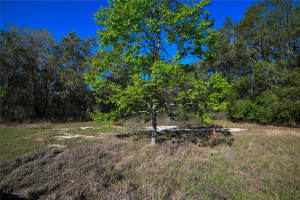 PABLO ISLAND ROAD, GROVELAND, FL 34736 - MLS#MFRR4909058