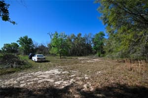 PABLO ISLAND ROAD, GROVELAND, FL 34736 - MLS#MFRR4909058